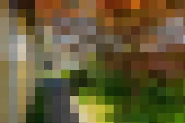 Kroonstraat 12 Sliedrecht thumbnail 31