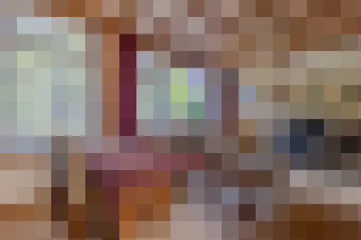 Kroonstraat 12 Sliedrecht thumbnail 6