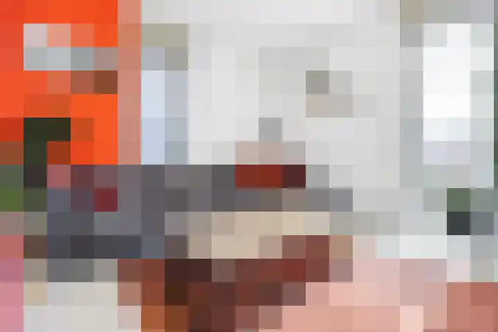 Kroonstraat 142 Nijmegen thumbnail 27