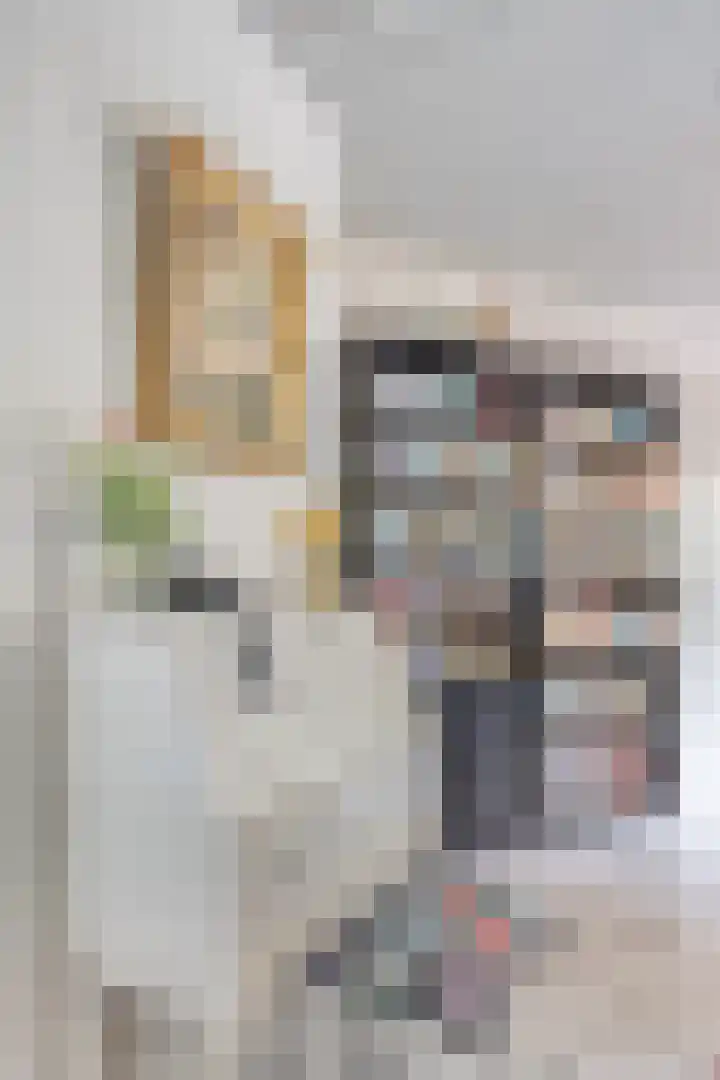 Kroonstraat 17 Etten-Leur thumbnail 31
