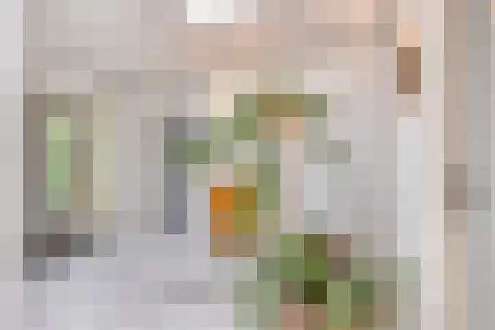 Kroonstraat 17 Etten-Leur thumbnail 47