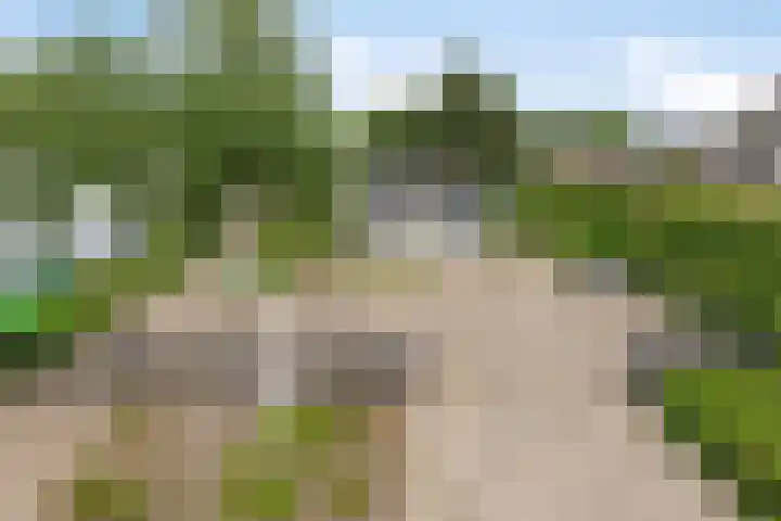 Kroonstraat 17 Etten-Leur thumbnail 7