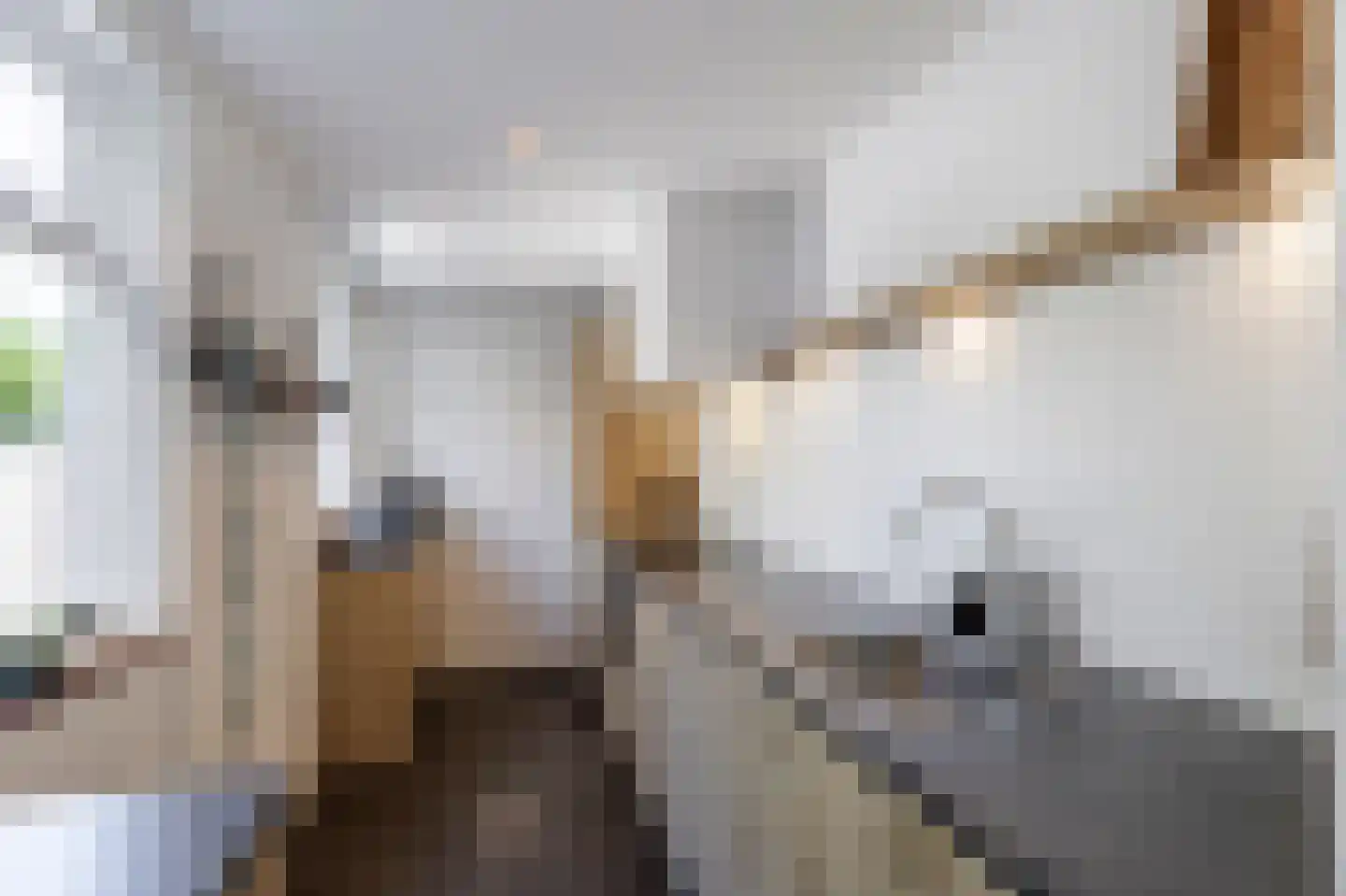 Kroonstraat 28 Sliedrecht thumbnail 10