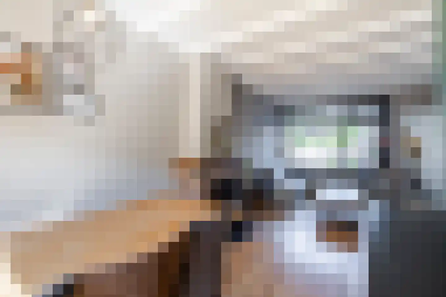 Kroonstraat 28 Sliedrecht thumbnail 7