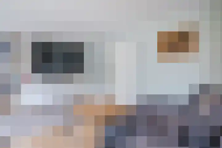 Kroonstraat 30 Oudkarspel thumbnail 7
