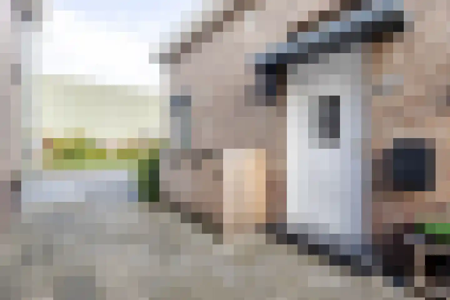 Kroonstraat 32 Sliedrecht thumbnail 32