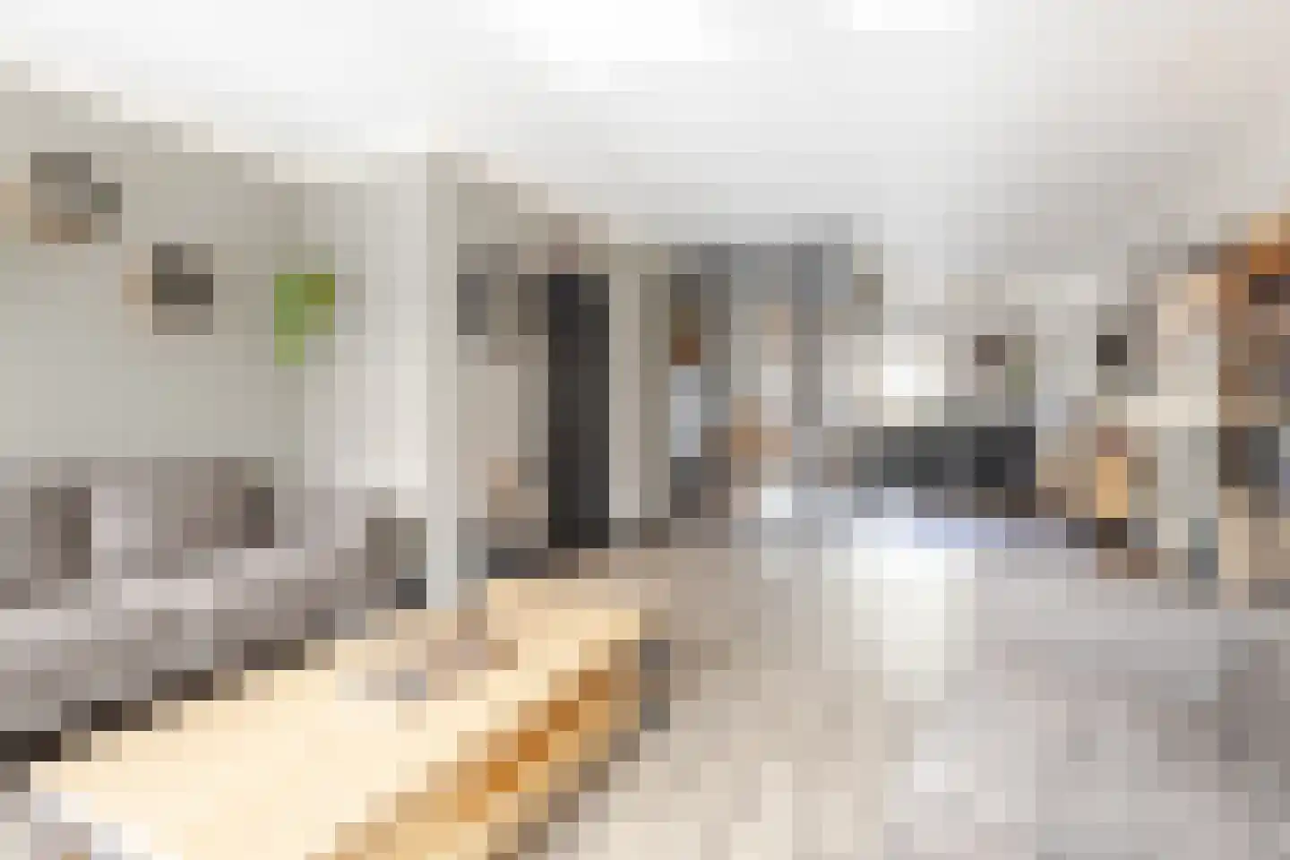 Kroonstraat 32 Sliedrecht thumbnail 4