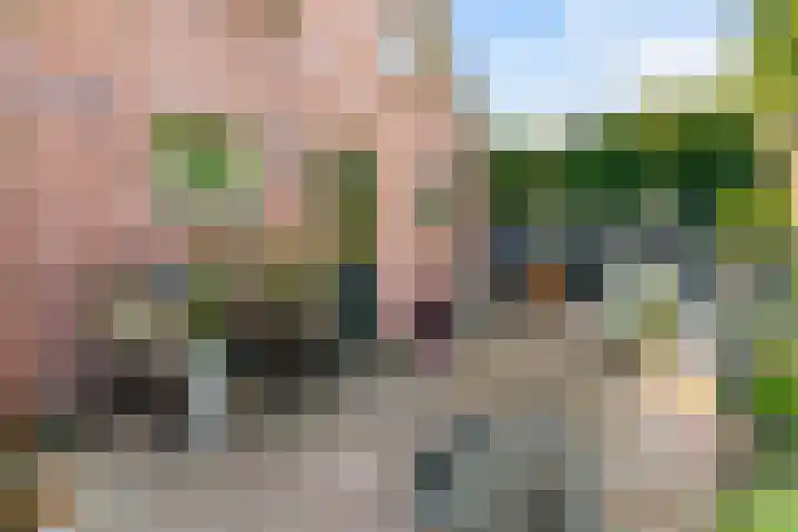 Kroonstraat 34 Oudkarspel thumbnail 48