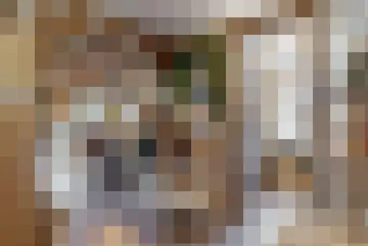 Kroonstraat 34 Oudkarspel thumbnail 9