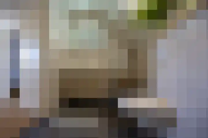 Kroonstuk 6 Nes thumbnail 20