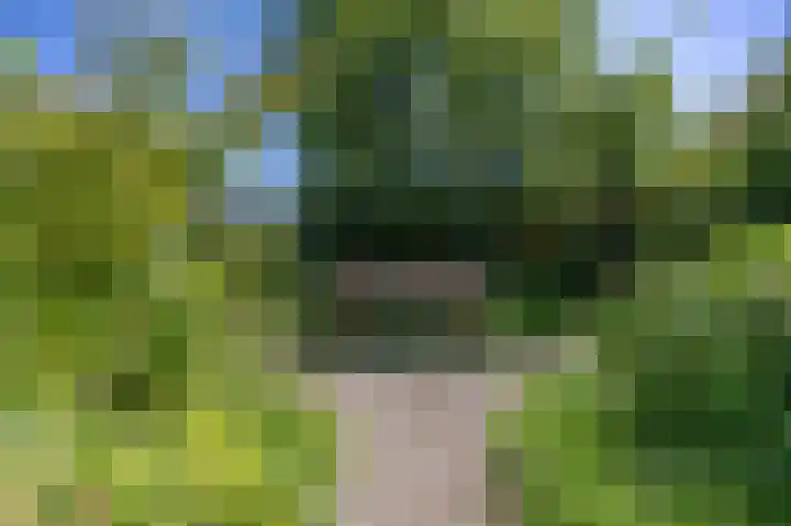 Kroonstuk 6 Nes thumbnail 24