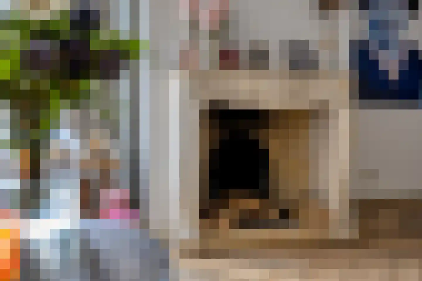 Kroontjeskruid 23 Breda thumbnail 11