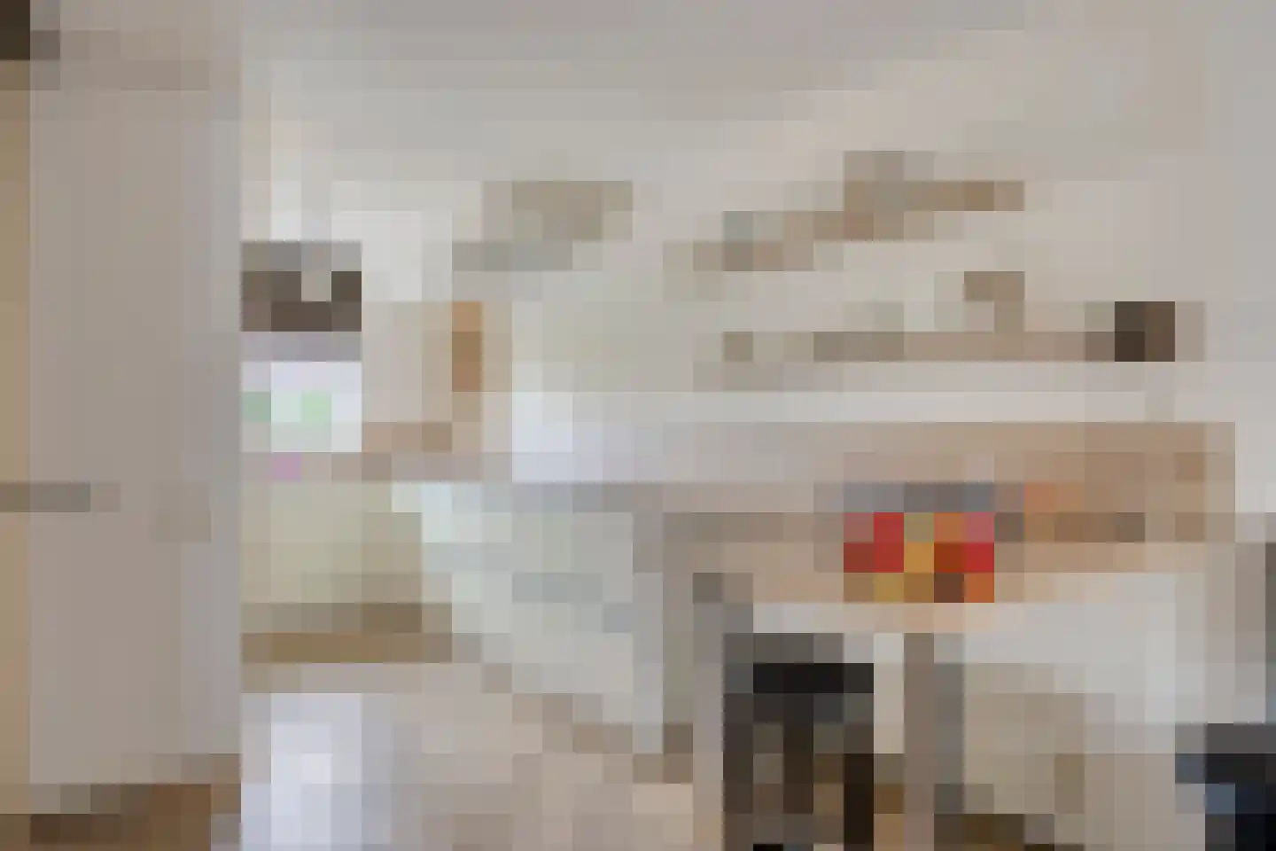 Kroontjeskruid 23 Breda thumbnail 12