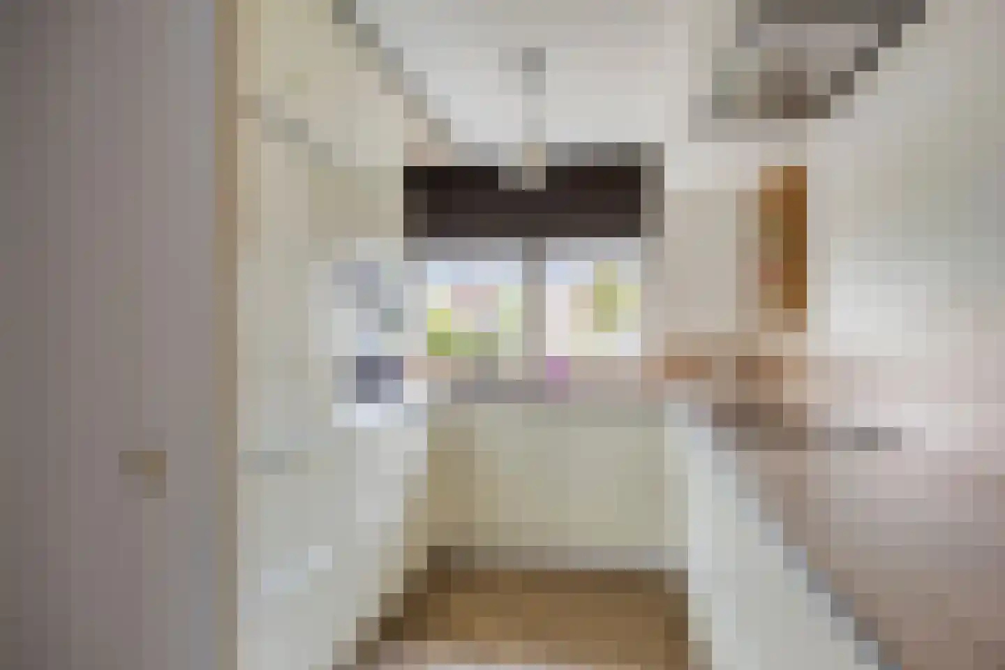 Kroontjeskruid 23 Breda thumbnail 13