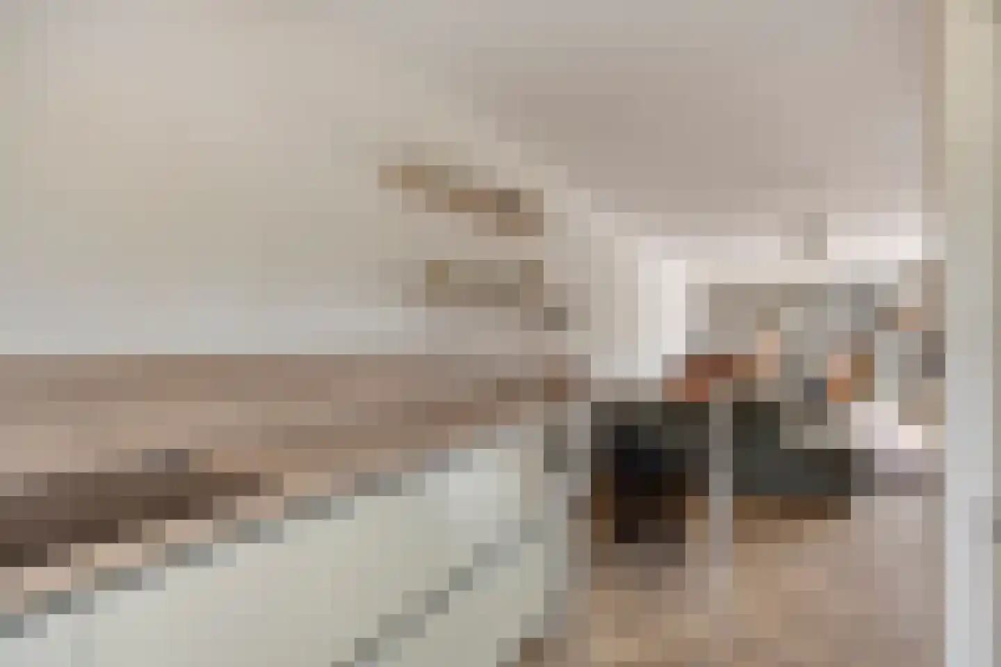 Kroontjeskruid 23 Breda thumbnail 14
