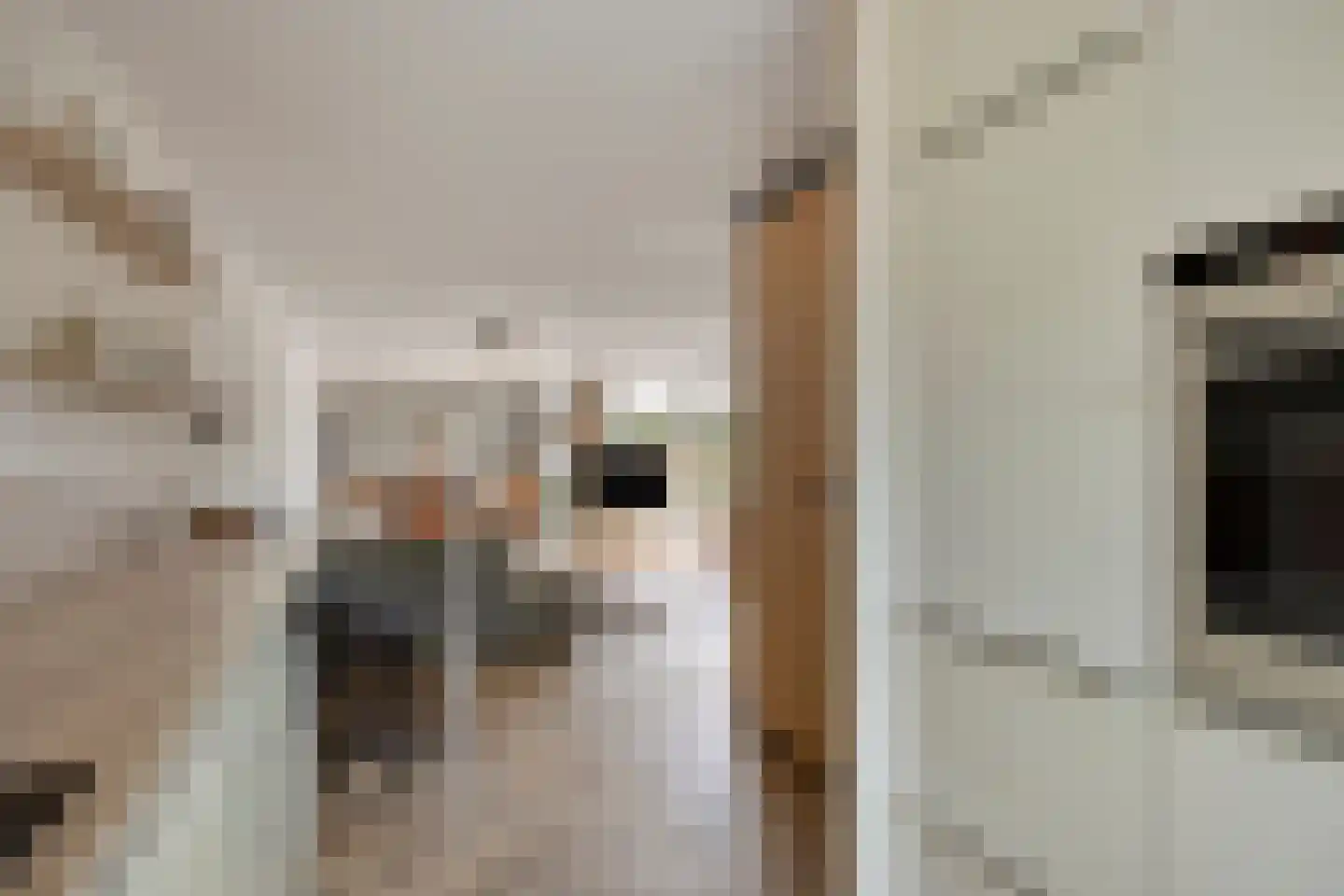Kroontjeskruid 23 Breda thumbnail 15