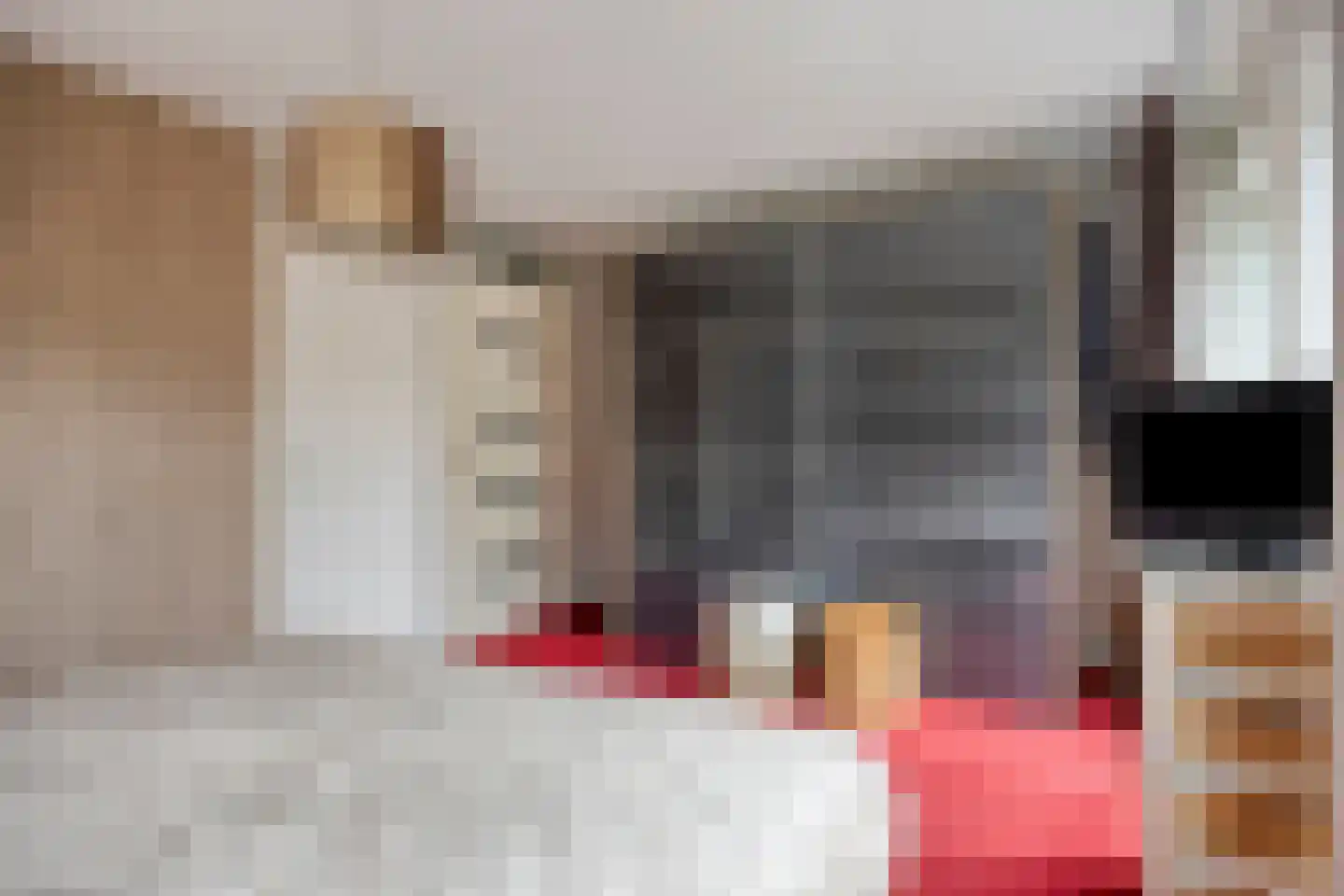 Kroontjeskruid 23 Breda thumbnail 17