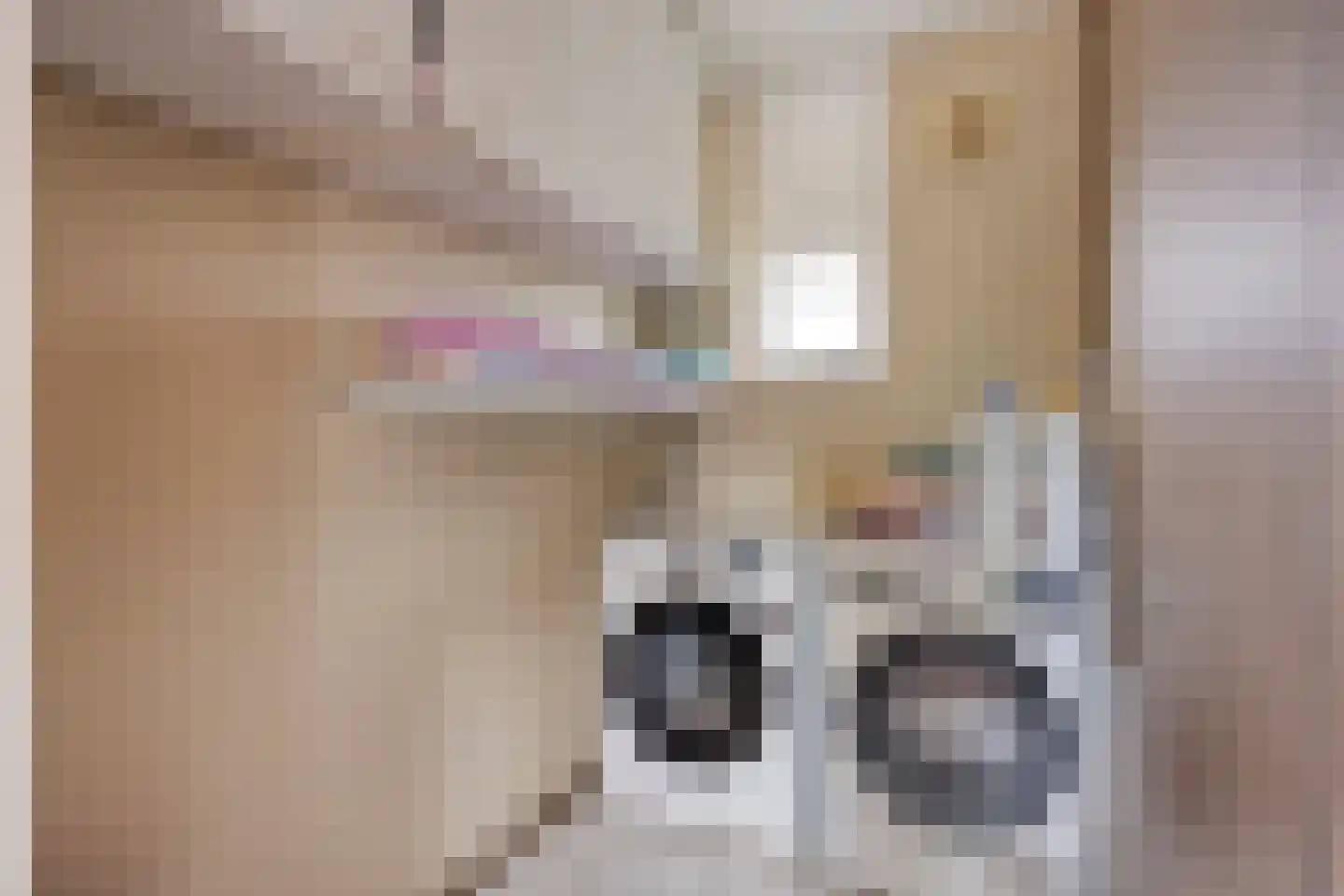 Kroontjeskruid 23 Breda thumbnail 20