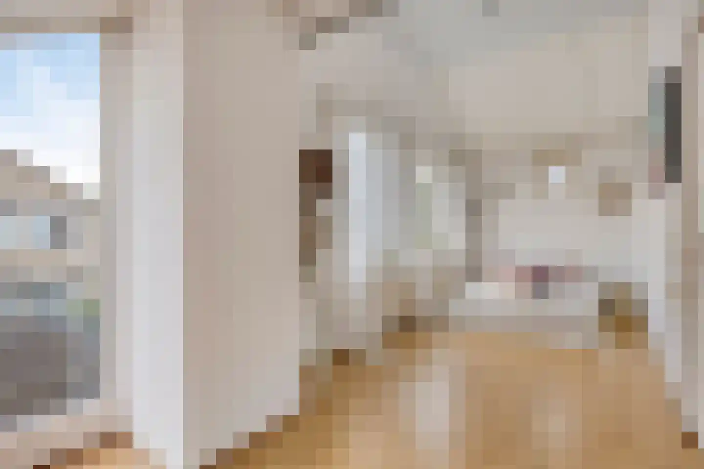 Kroontjeskruid 23 Breda thumbnail 21