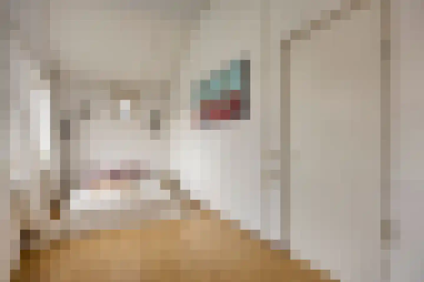 Kroontjeskruid 23 Breda thumbnail 23