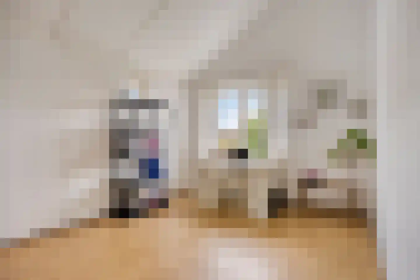 Kroontjeskruid 23 Breda thumbnail 24