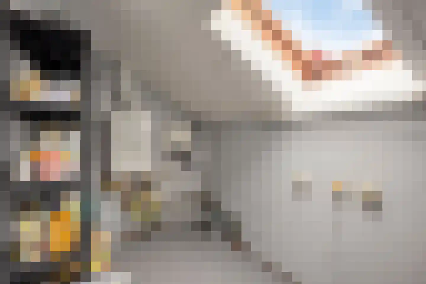 Kroontjeskruid 23 Breda thumbnail 28