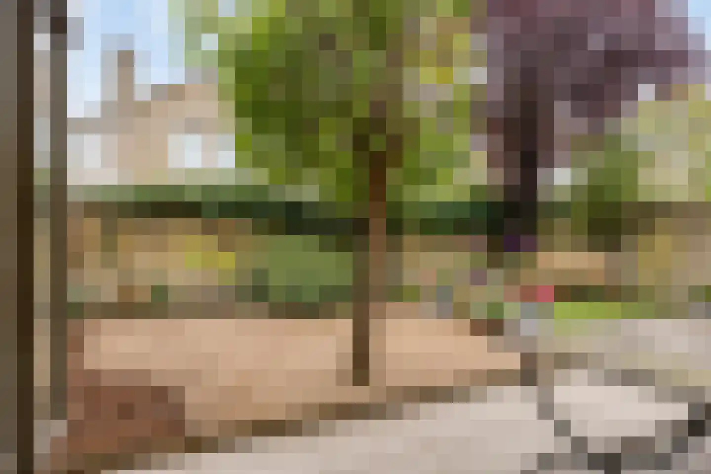 Kroontjeskruid 23 Breda thumbnail 30