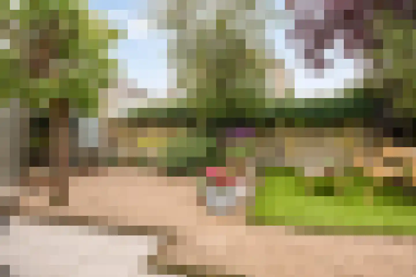 Kroontjeskruid 23 Breda thumbnail 31