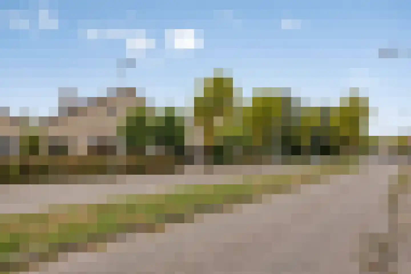 Kroontjeskruid 23 Breda thumbnail 32