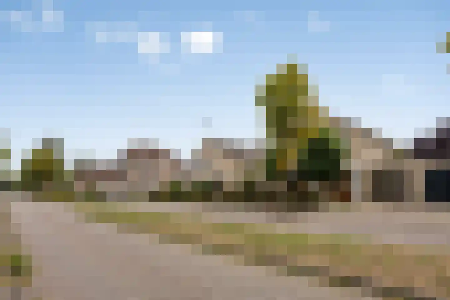 Kroontjeskruid 23 Breda thumbnail 33