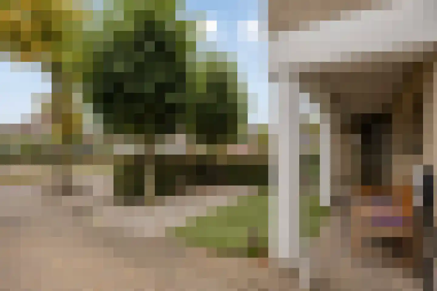 Kroontjeskruid 23 Breda thumbnail 35