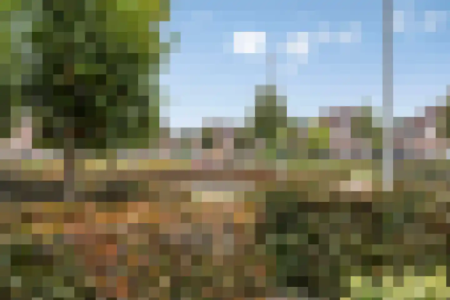 Kroontjeskruid 23 Breda thumbnail 36
