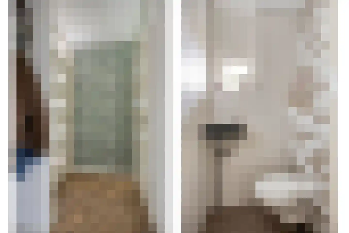 Kroontjeskruid 23 Breda thumbnail 5