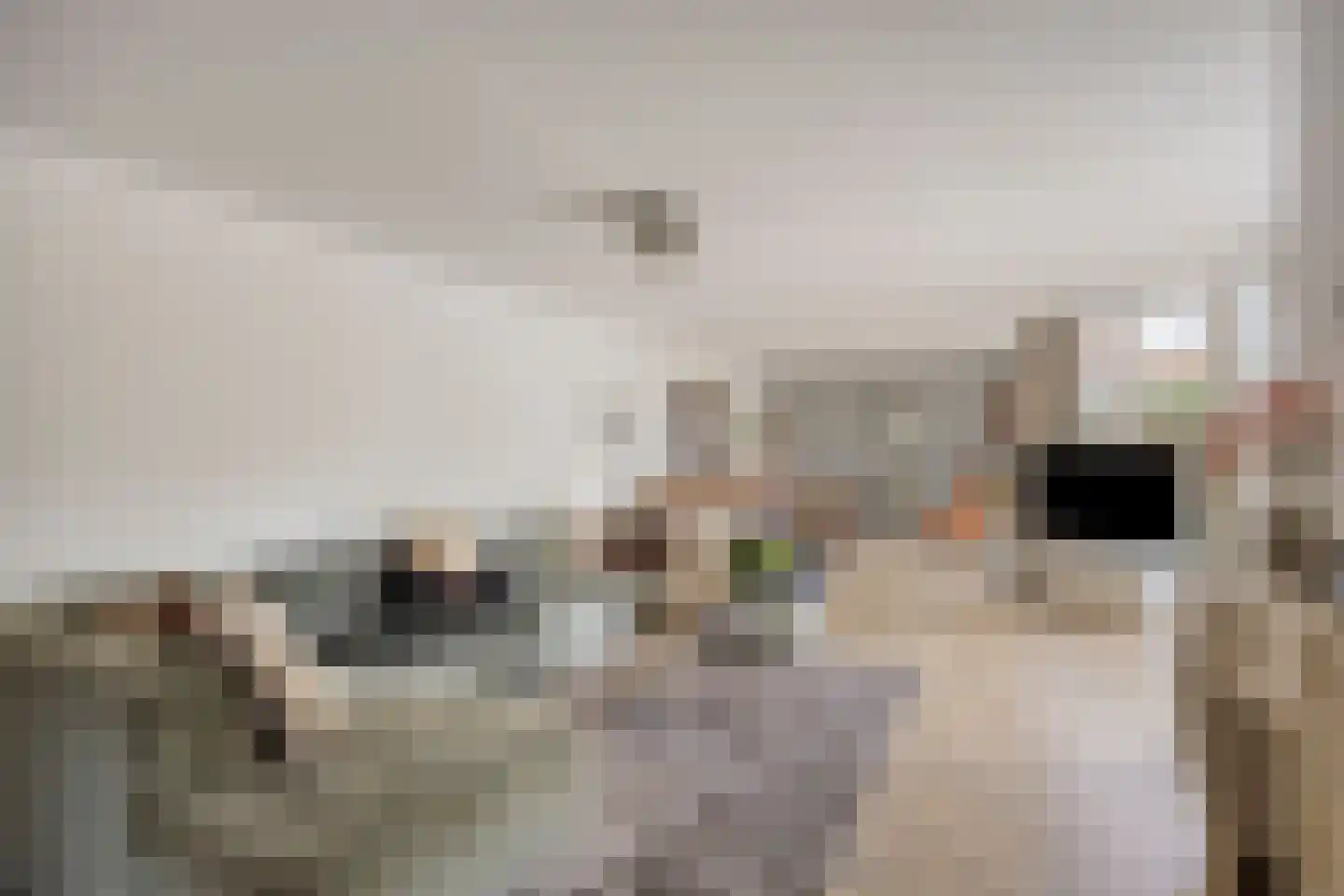 Kroontjeskruid 23 Breda thumbnail 6