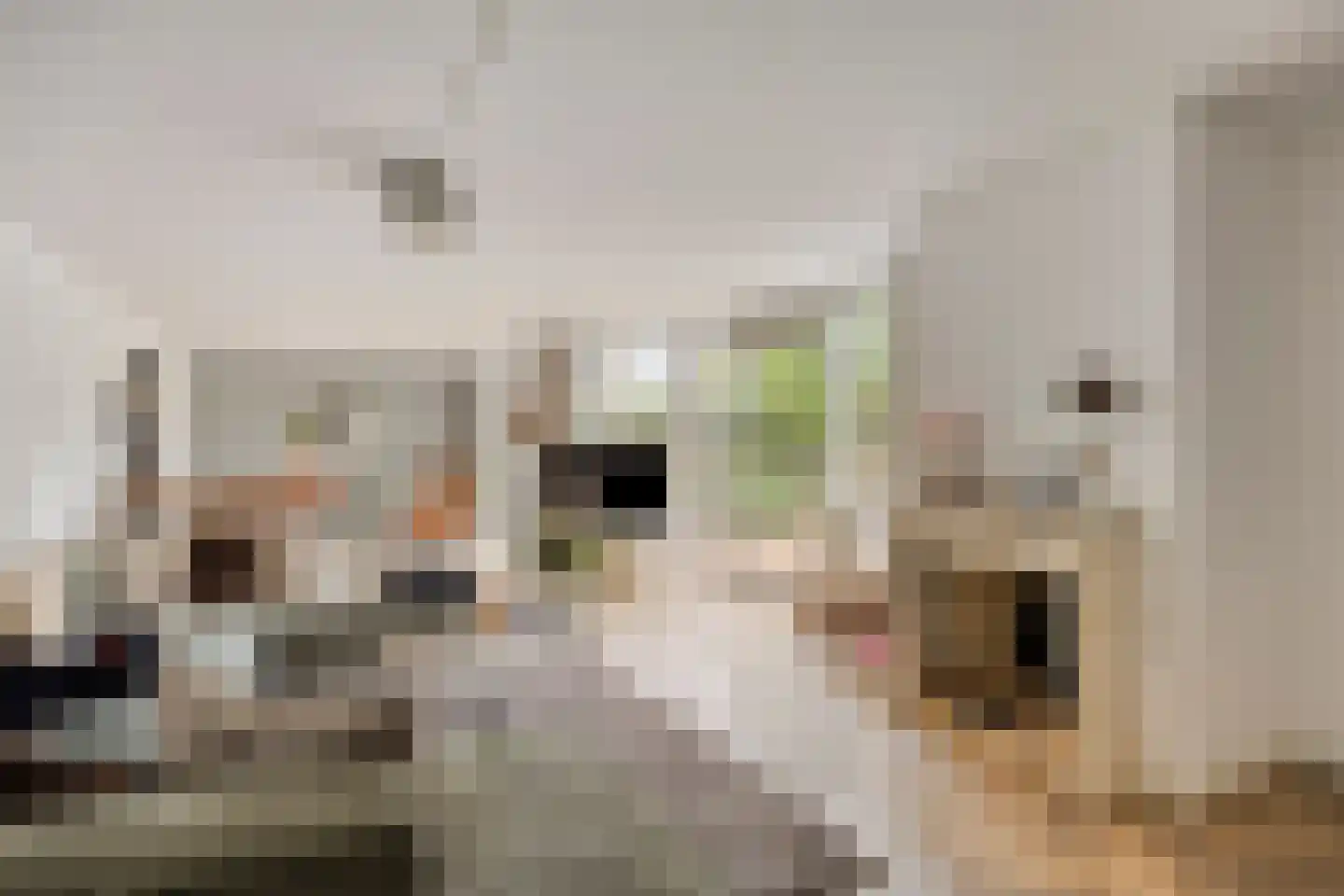 Kroontjeskruid 23 Breda thumbnail 7