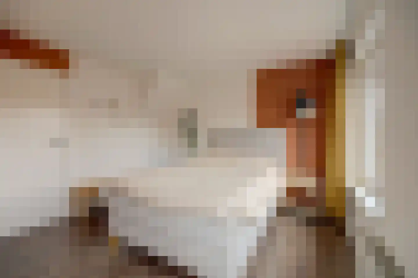 Kroontjesmolen 5 Amersfoort thumbnail 21