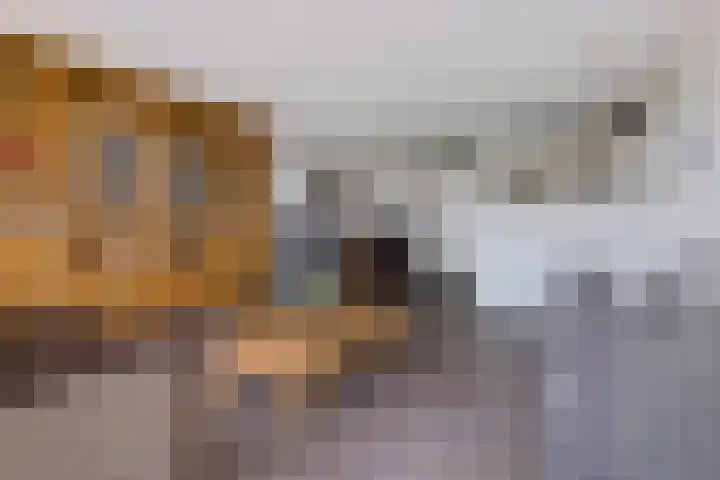Kroonwerk 114 Assen thumbnail 20