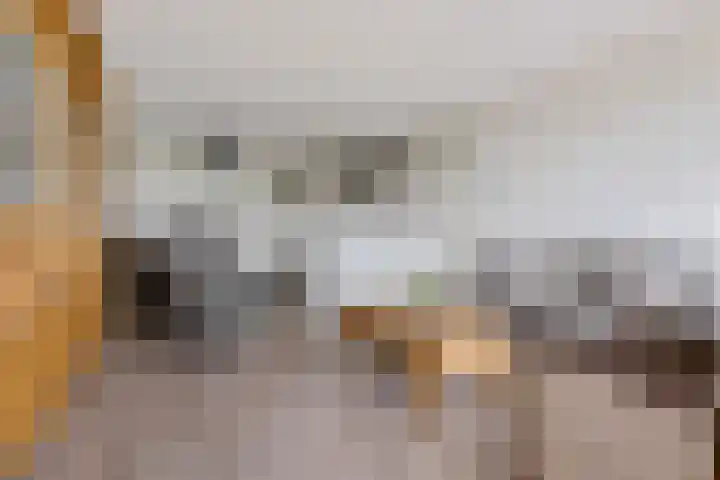 Kroonwerk 114 Assen thumbnail 21