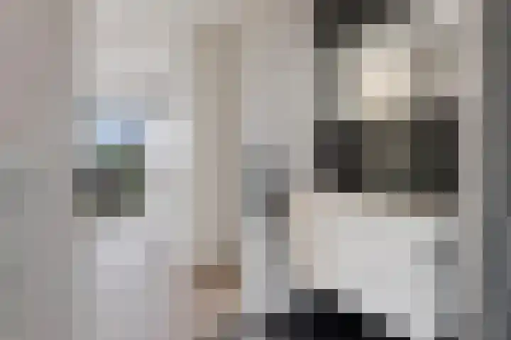 Kroonwerk 114 Assen thumbnail 30