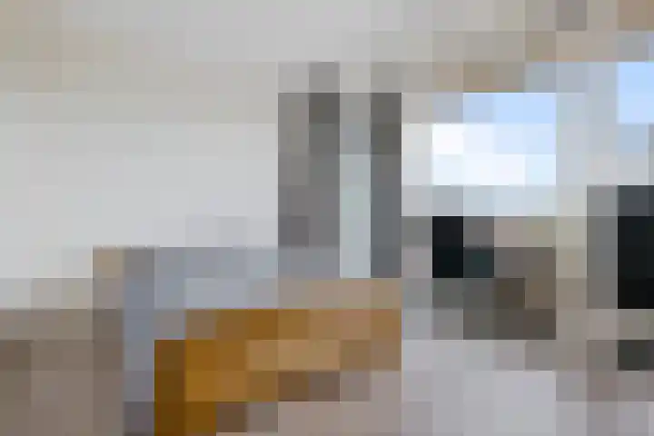 Kroonwerk 114 Assen thumbnail 32