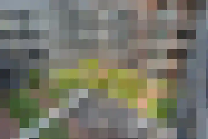 Kroonwerk 114 Assen thumbnail 4
