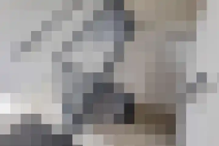 Kroonwerk 114 Assen thumbnail 9