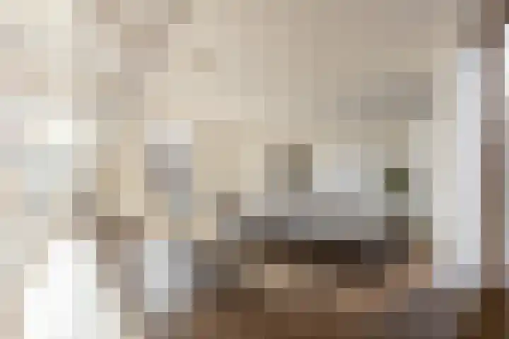 Kroonwerk 12 Vijfhuizen thumbnail 15