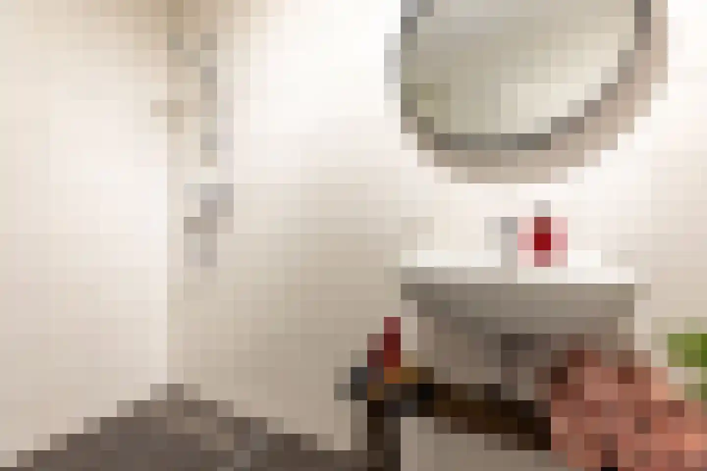 Kroonwerk 38 Muiden thumbnail 24
