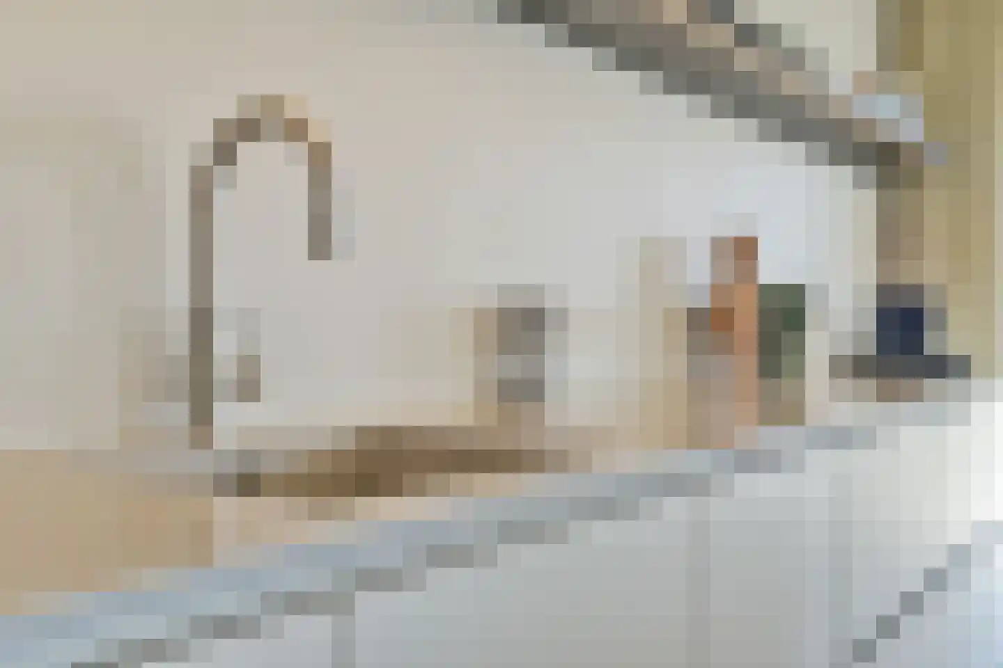 Kroonwerk 62 Muiden thumbnail 13