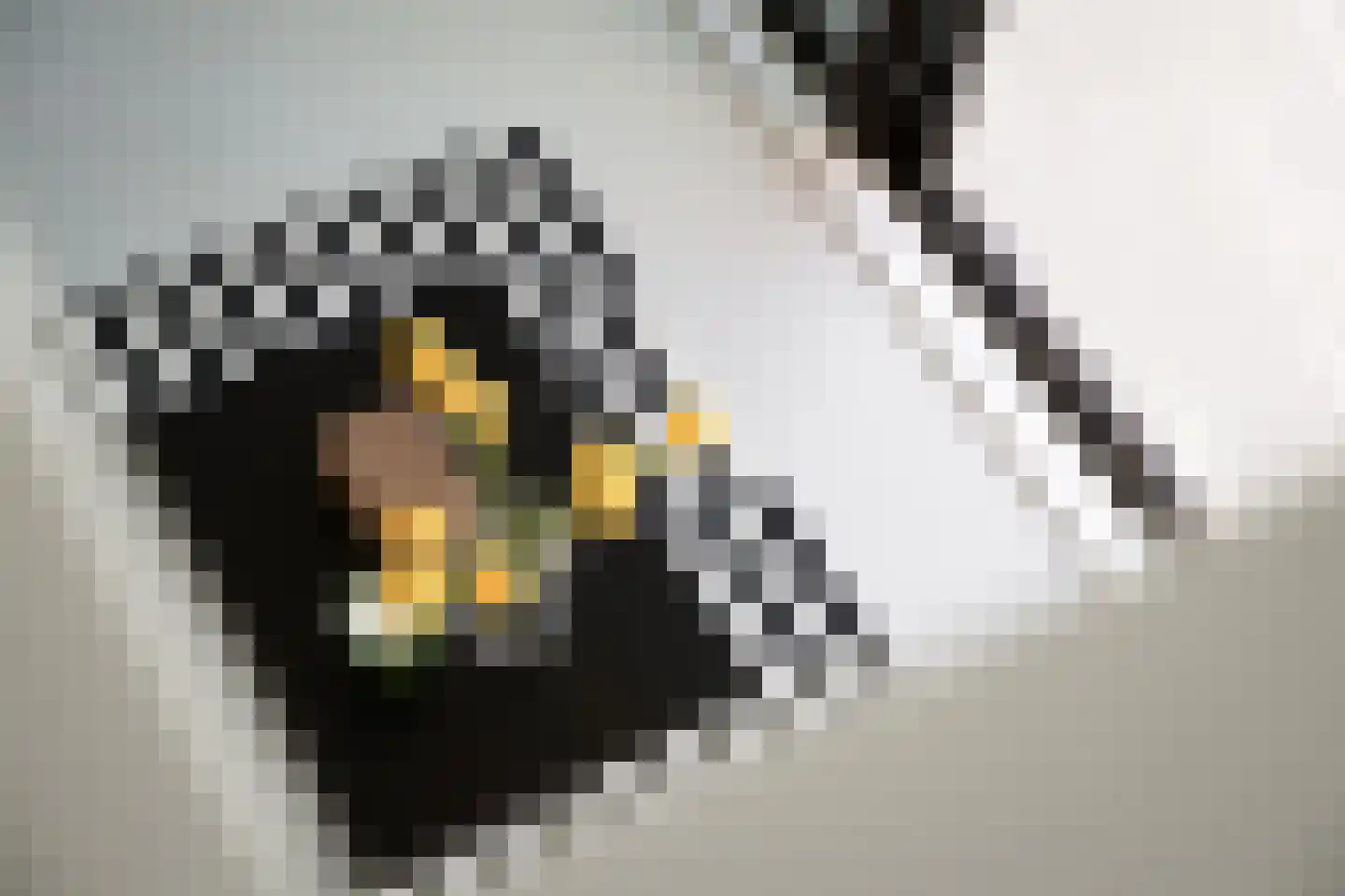 Kroonwerk 68 Muiden thumbnail 29