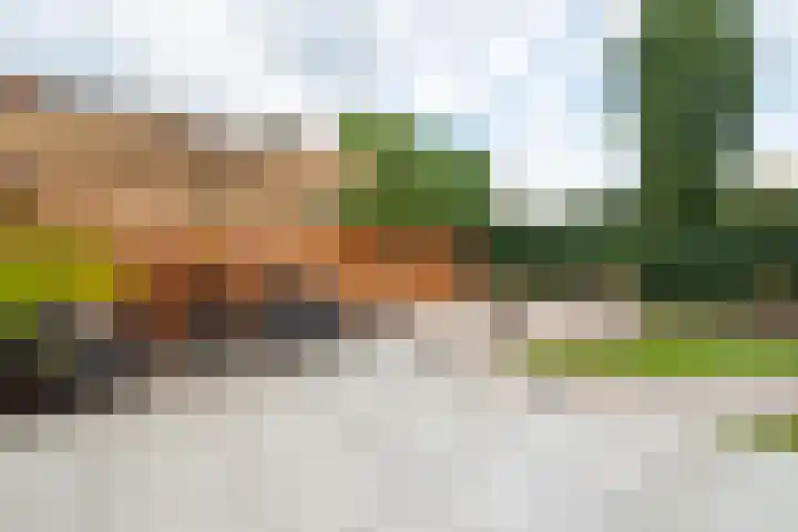Kroonwerk 7 Gorinchem thumbnail 10