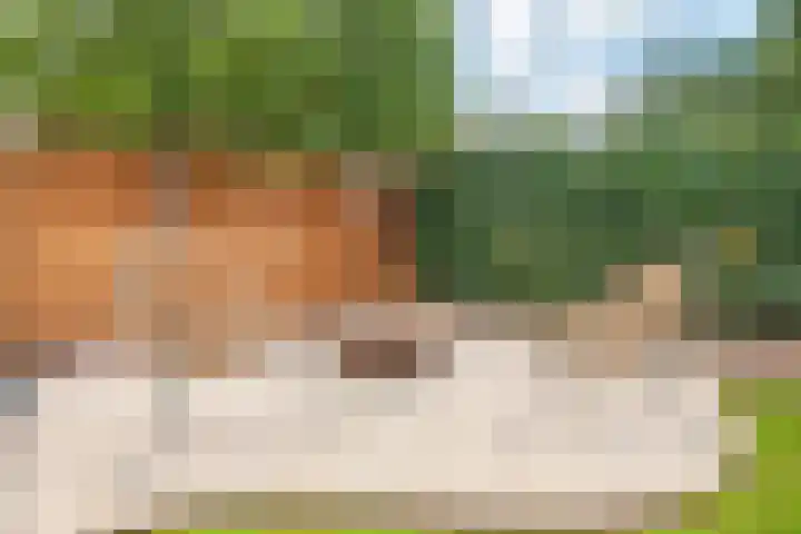 Kroonwerk 7 Gorinchem thumbnail 12
