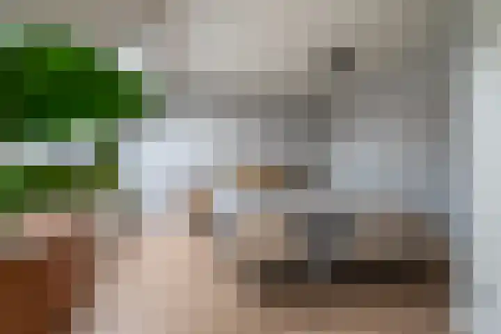 Kroonwerk 7 Gorinchem thumbnail 13