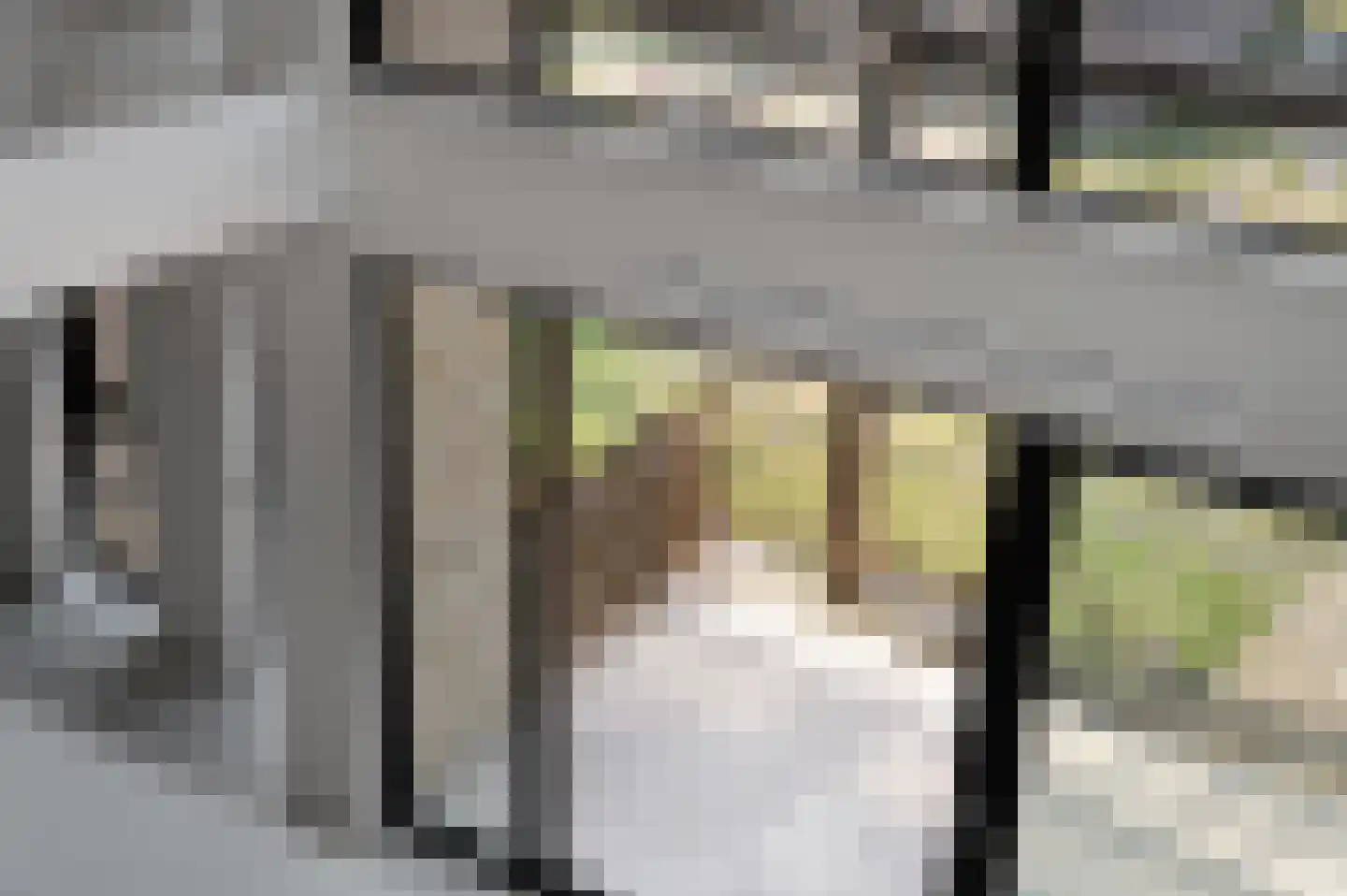Kroonwerk 78 Muiden thumbnail 34